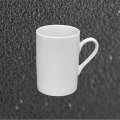 Porcelain mug R20088 300 ml