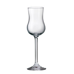 GASTRO GRAPPA 85 ml