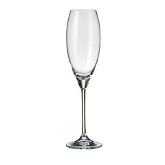 Sklenice GASTRO FLUTE 220 ml