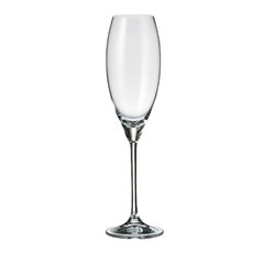 Pohár CECILIA FLUTE 290 ml